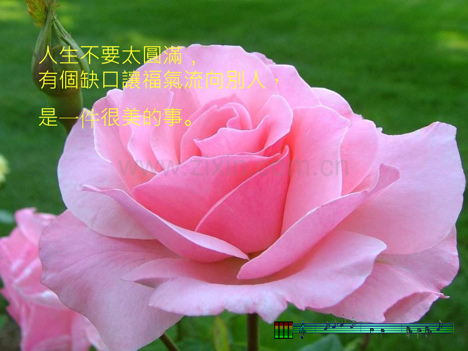 不完美才是完美.pptx_第1页