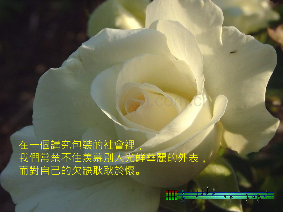 不完美才是完美.pptx_第2页