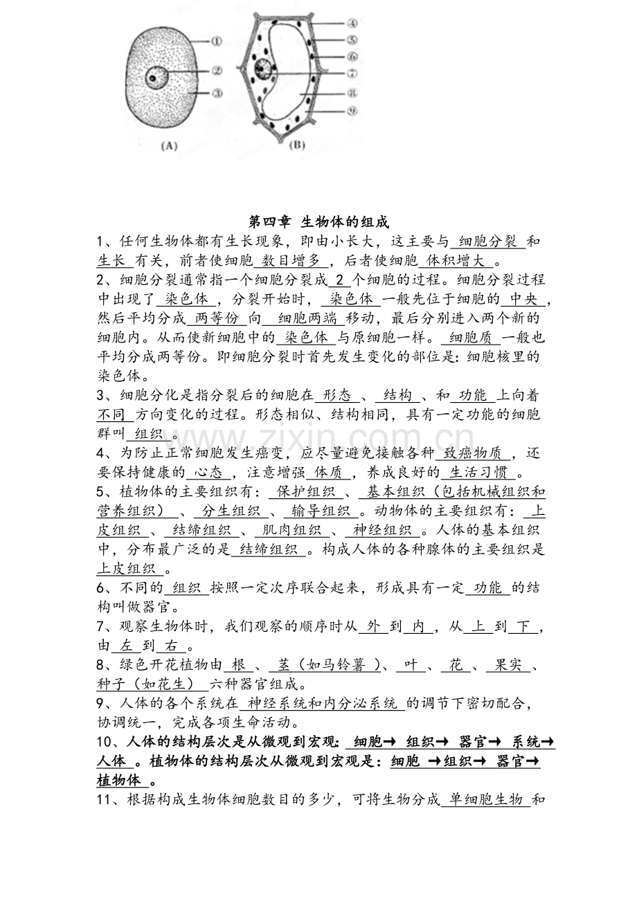 湘教版-七年级上-生物复习提纲.doc_第3页
