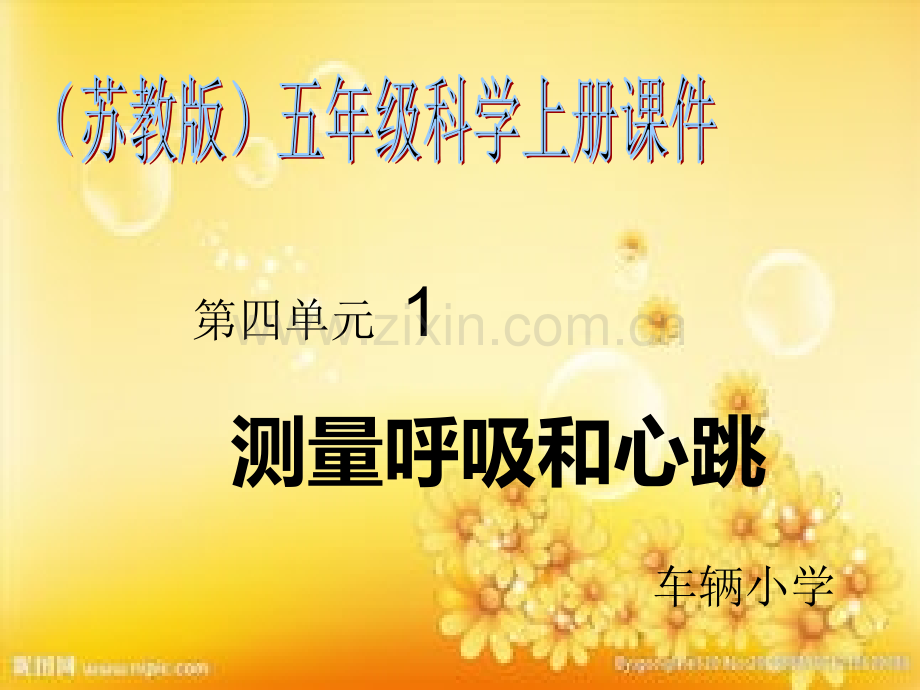 测量呼吸和心跳.ppt_第1页
