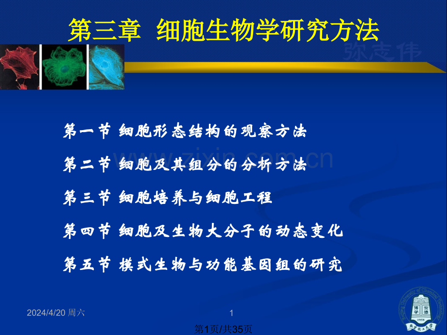 三细胞生物学研究方法2.pptx_第1页