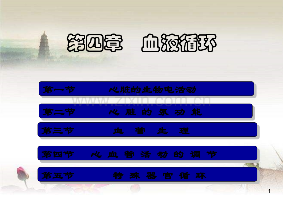 生理学-血液循环大全.ppt_第1页