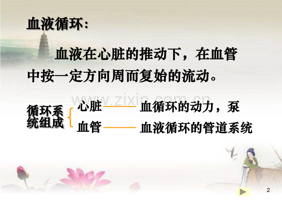 生理学-血液循环大全.ppt_第2页