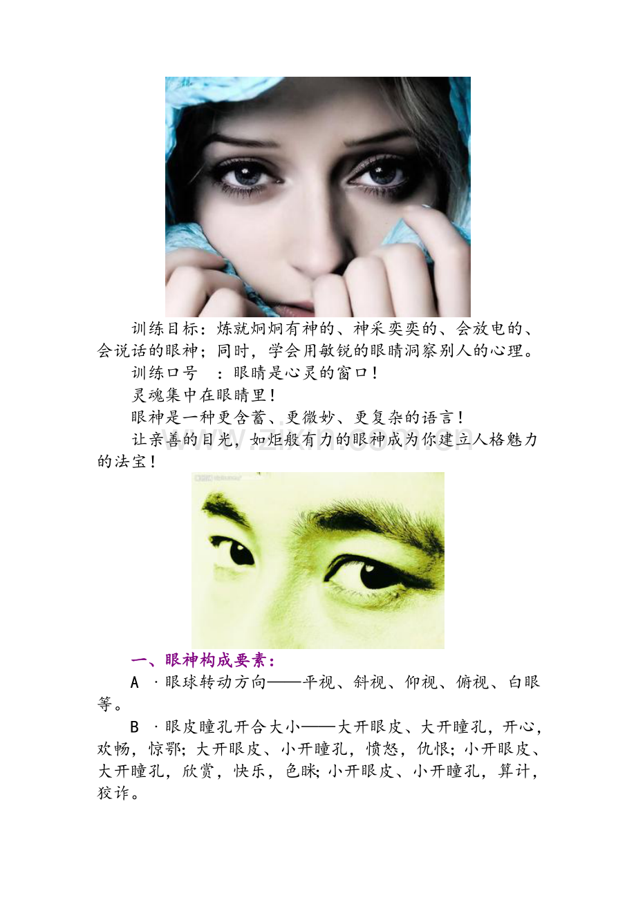 眼神与不同眼神的训练术详解-图.doc_第2页