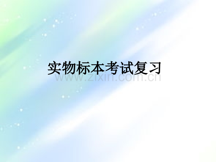 系统解剖学实物标本模拟考试.ppt_第1页