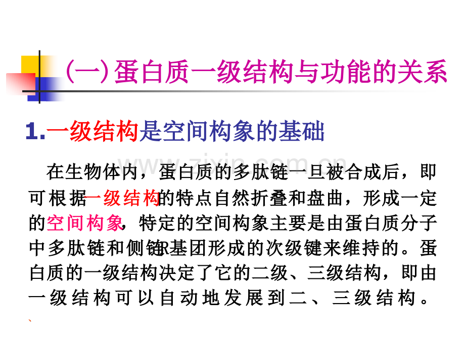 蛋白质的结构与功能的关系.pptx_第2页