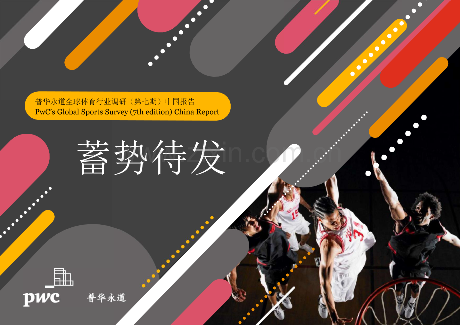 2023年全球体育行业调研.pdf_第1页