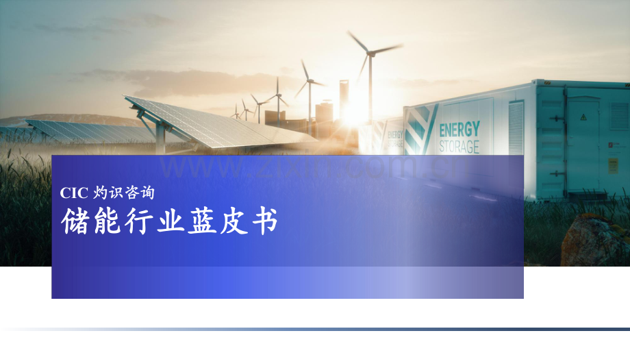 2023中国储能行业蓝皮书.pdf_第1页