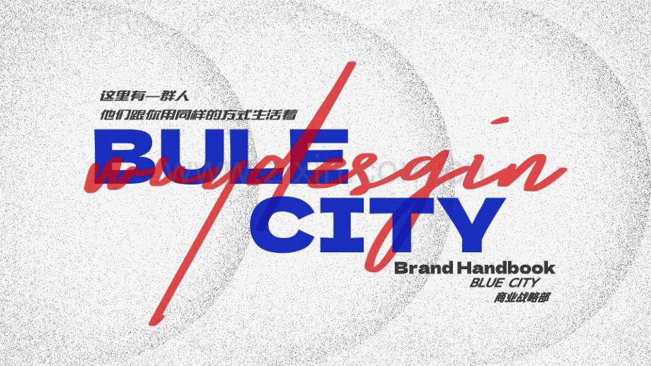 BLUE CITY品牌手册简要版.pdf_第1页