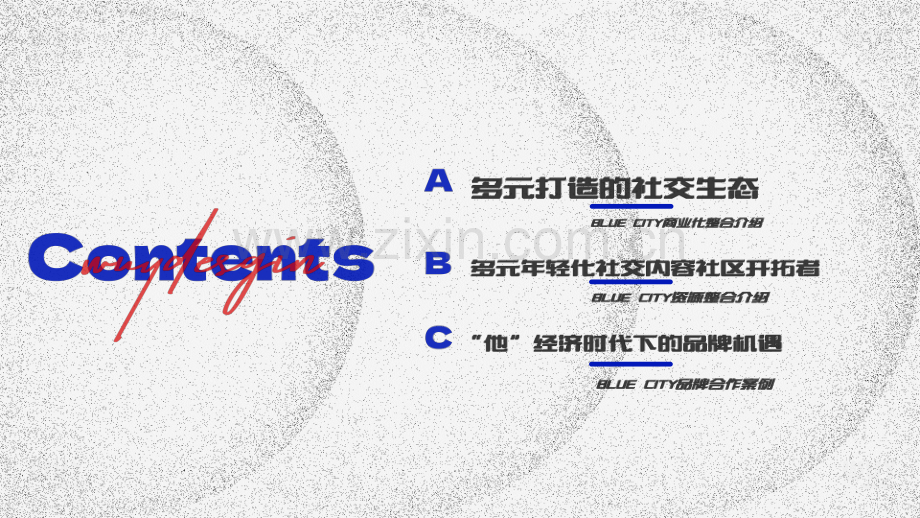 BLUE CITY品牌手册简要版.pdf_第2页