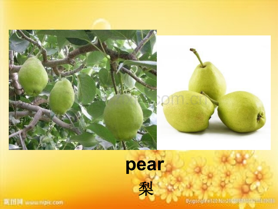 水果英语单词.ppt_第2页
