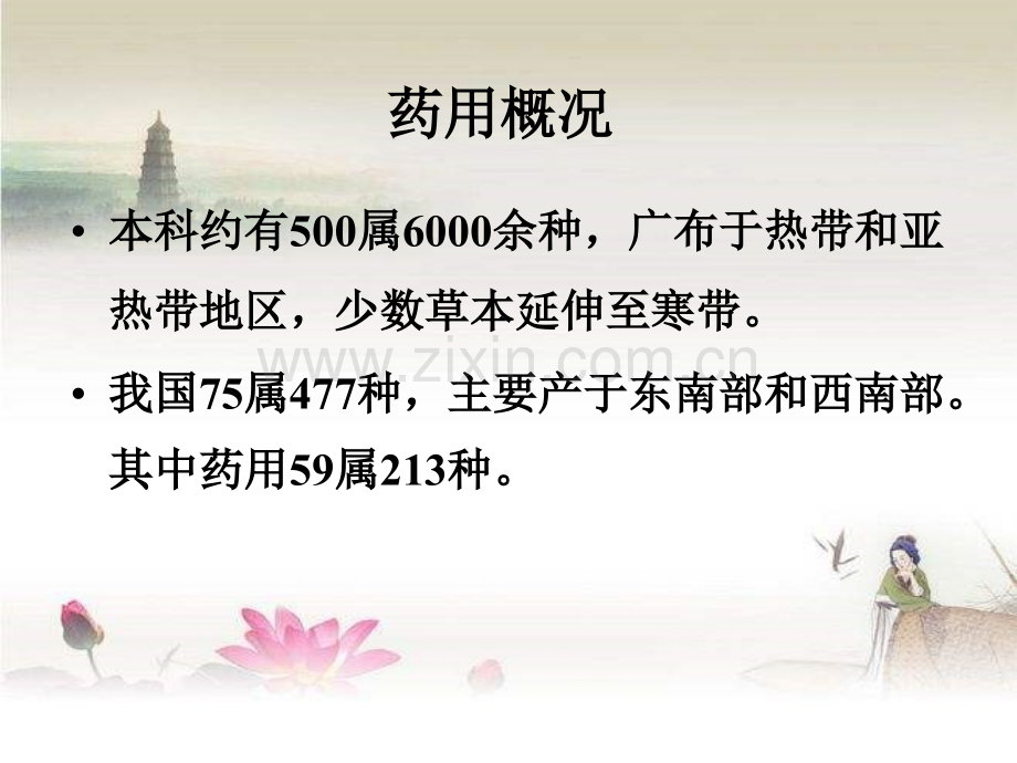 药用植物学-茜草科.ppt_第2页