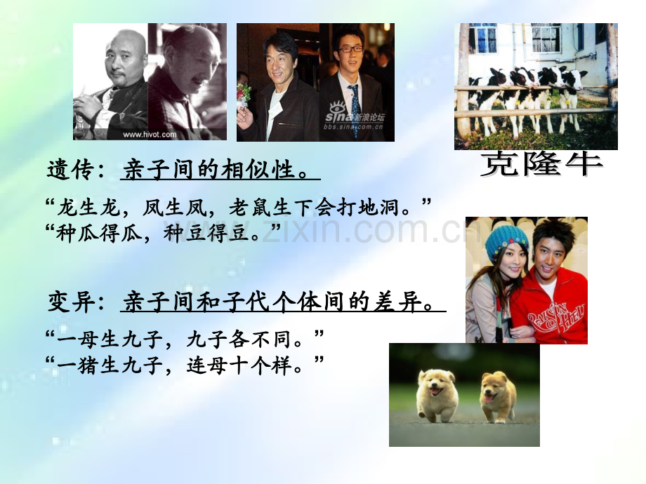 生物的遗传和变异复习课件.ppt_第2页