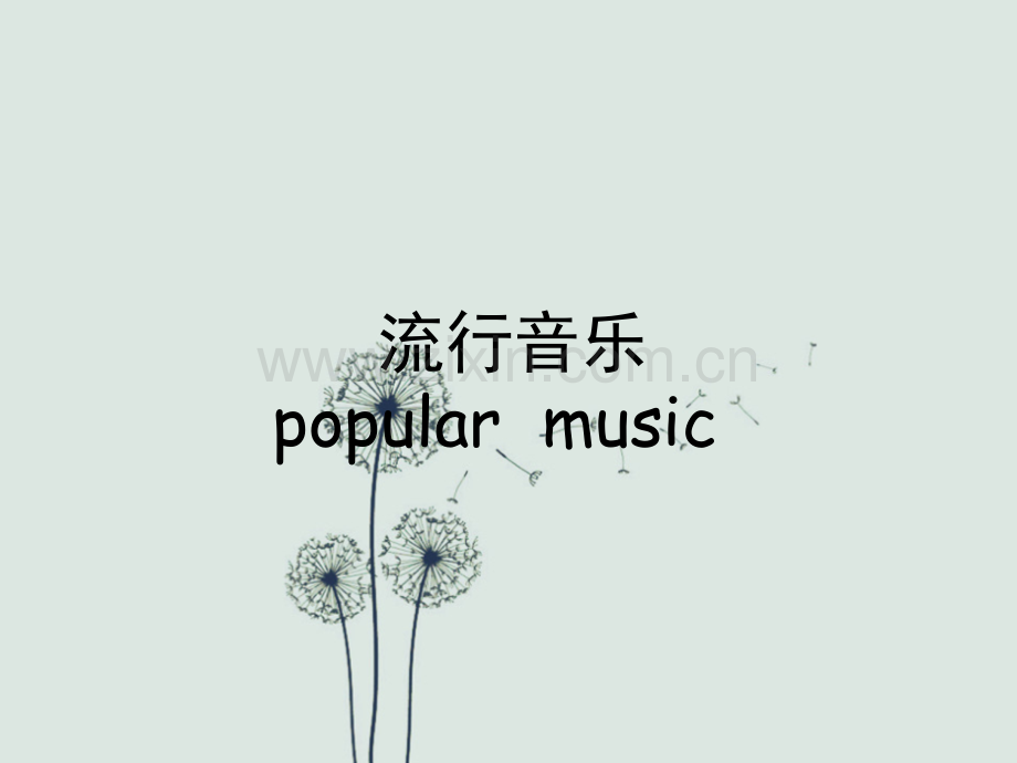 欧美流行音乐类型及其流行代表人(部分).ppt_第1页