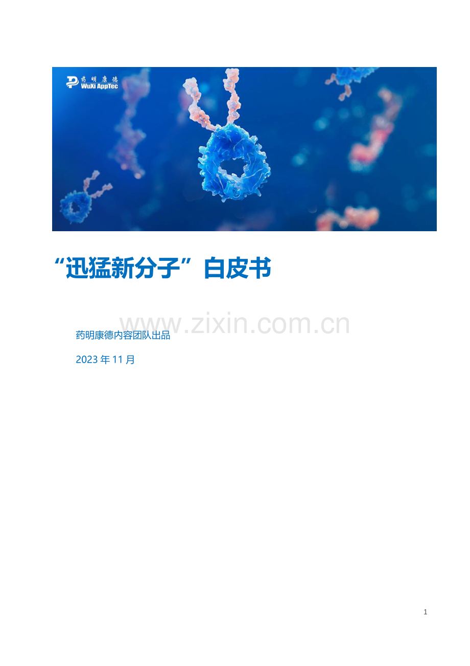 “迅猛新分子”白皮书.pdf_第1页
