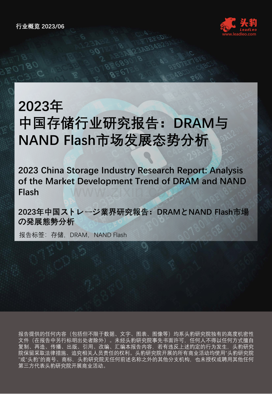 2023年中国存储行业研究报告：DRAM与NAND+Flash市场发展态势分析.pdf_第1页