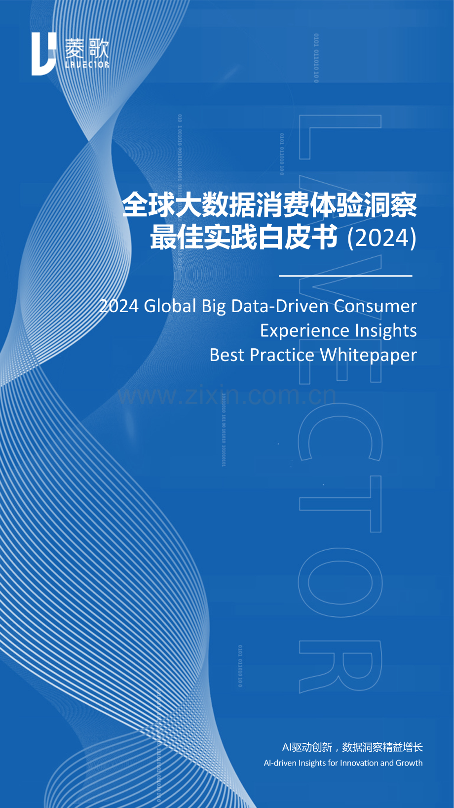 2024年全球大数据消费体验洞察最佳实践白皮书.pdf_第1页