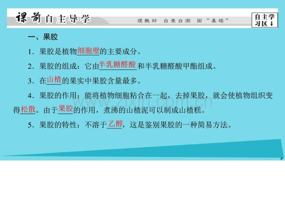高中生物第部分酶的应用实验果汁中的果胶和果胶.pptx_第2页