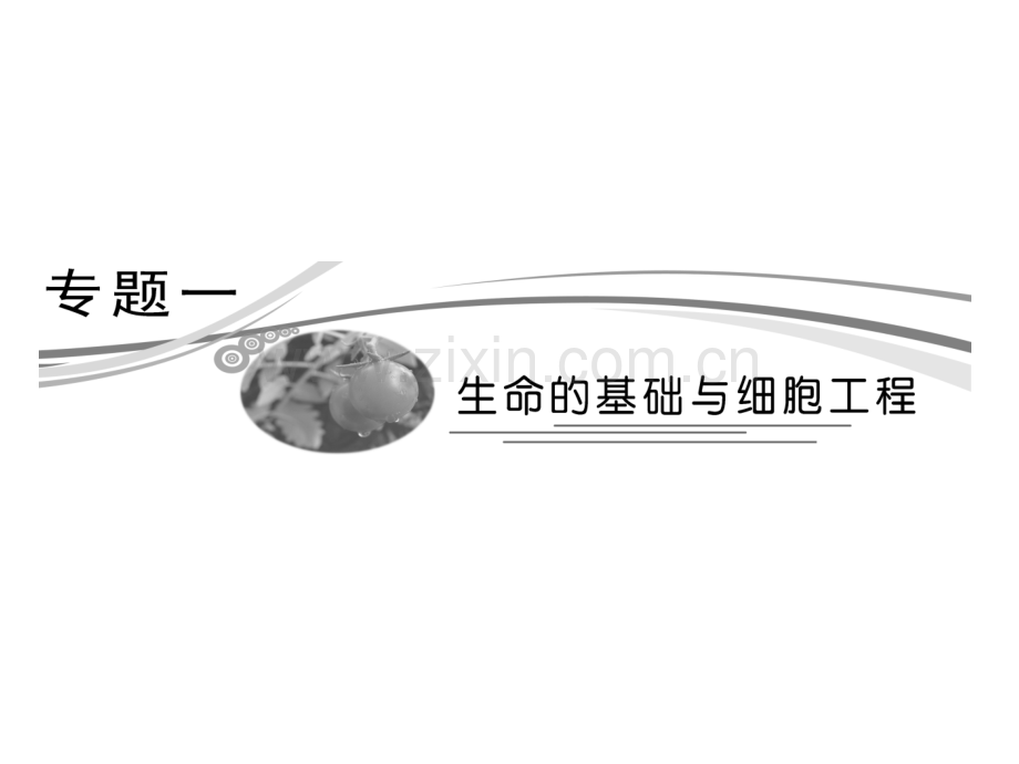 生物高考专题辅导与测试专题1生命基础与细胞工程专题.pptx_第2页
