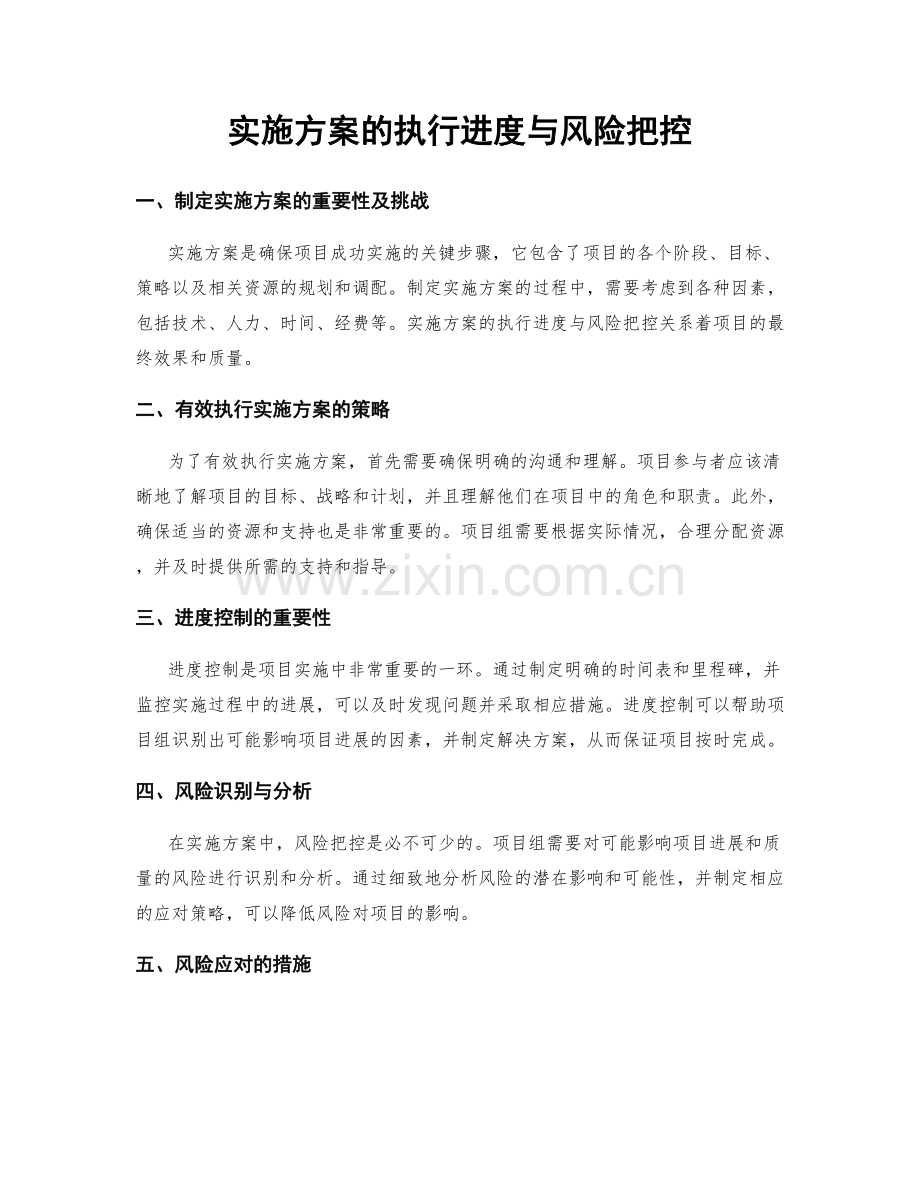 实施方案的执行进度与风险把控.docx_第1页