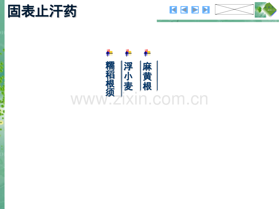 251固表止汗药.pptx_第1页