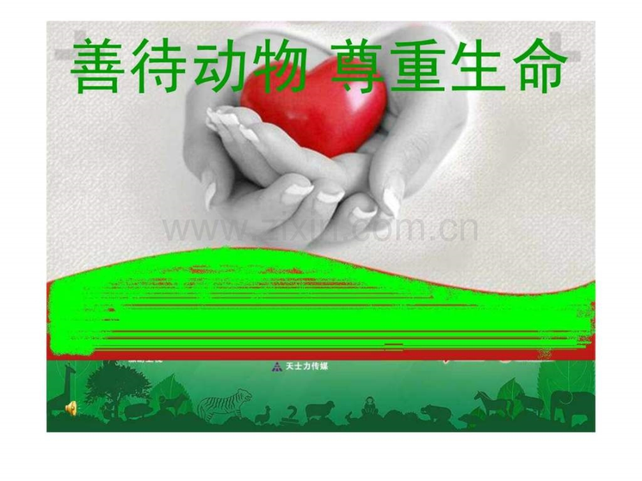 善待动物尊重生命薛亮卡通动漫PPT模板PPT专区pptPPT精选文档.pptx_第1页