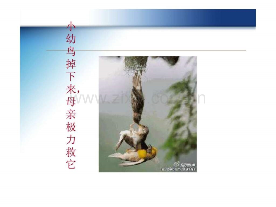 善待动物尊重生命薛亮卡通动漫PPT模板PPT专区pptPPT精选文档.pptx_第2页
