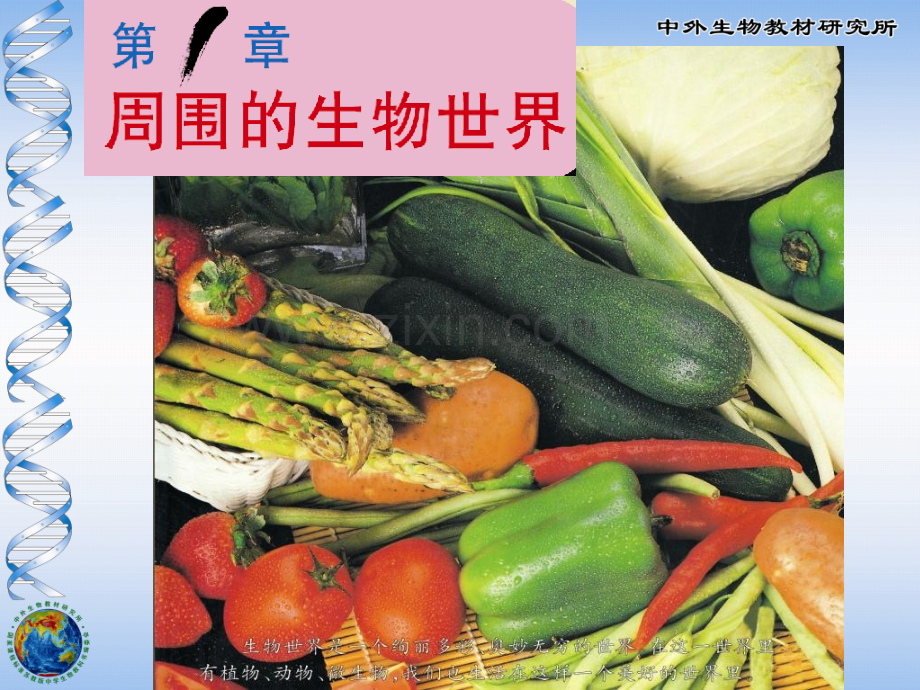 七年上我们周围的生物.pptx_第1页