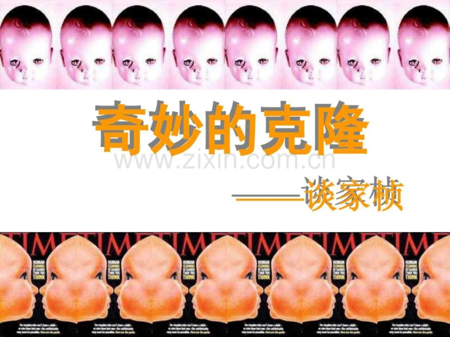 山西初中一年级奇妙的克隆.pptx_第1页