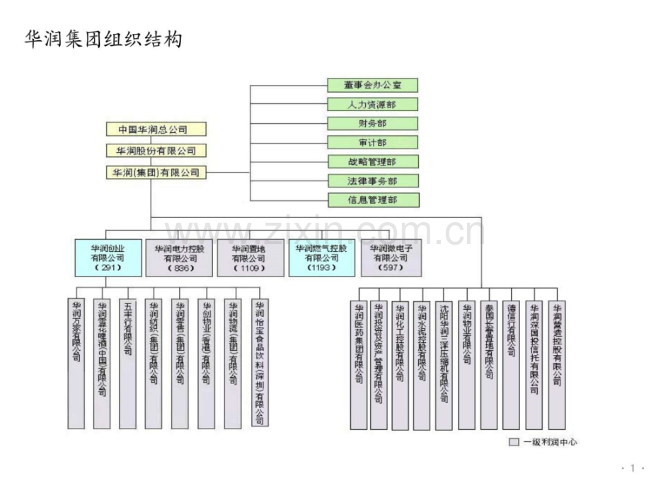 华润置地组织管控..pptx_第1页