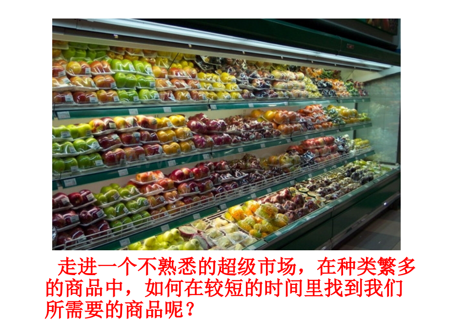 新北师大版生物的分类.pptx_第2页
