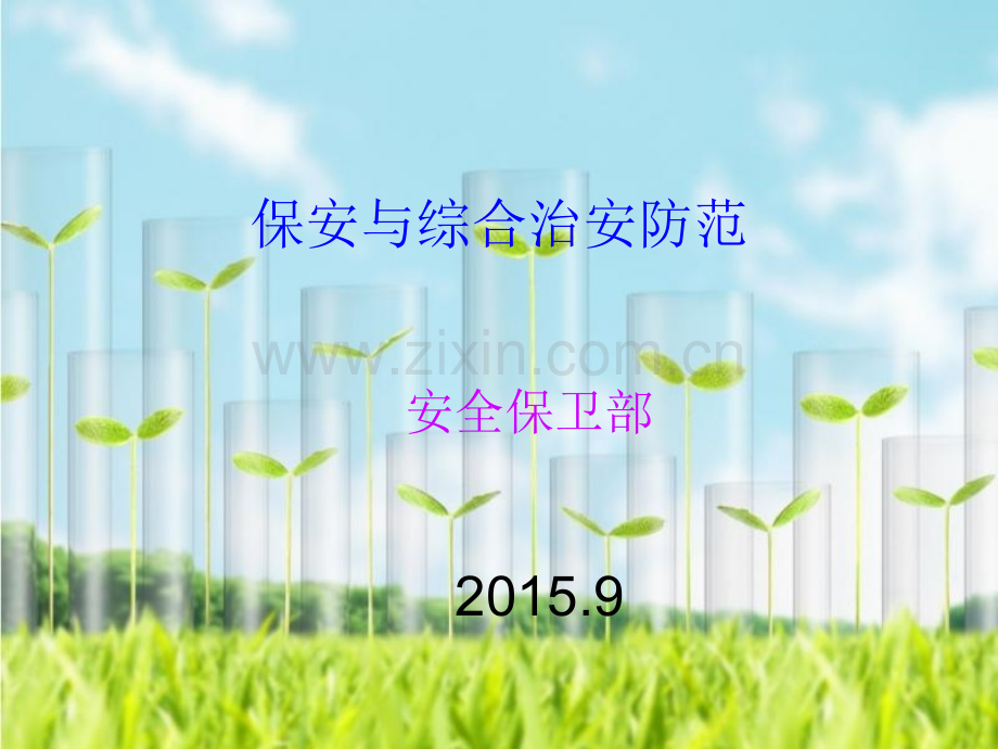 保安与综合治安解读.pptx_第1页