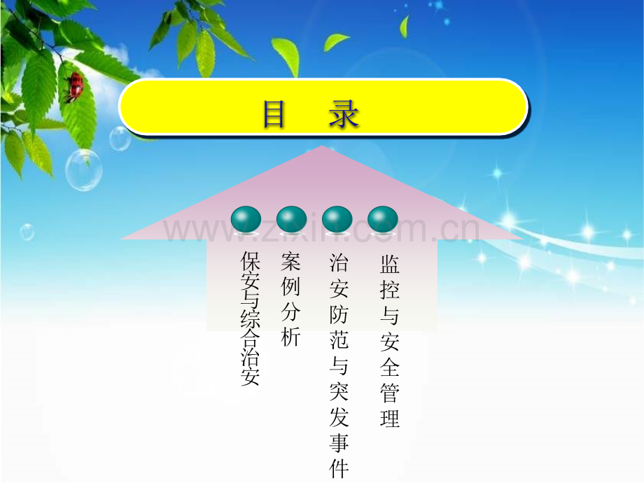 保安与综合治安解读.pptx_第2页