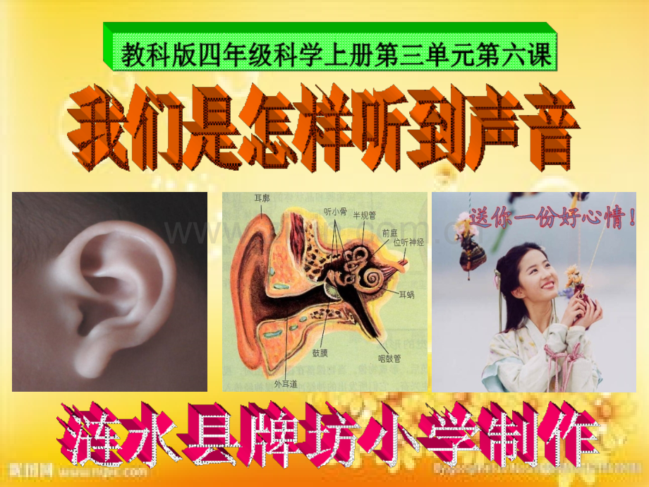 教科版四年级科学上册第三单元第六课-我们是怎样听到声音(含课堂作业).ppt_第1页