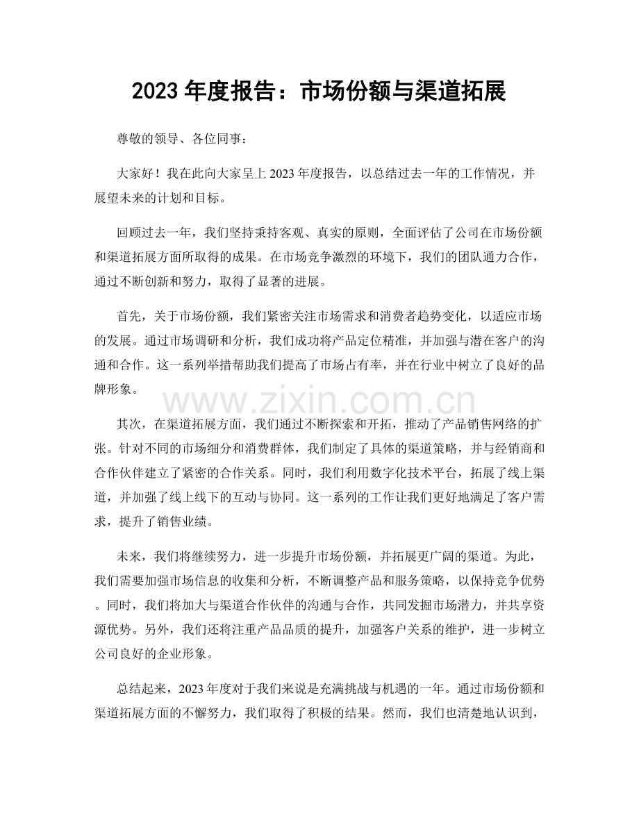 2023年度报告：市场份额与渠道拓展.docx_第1页