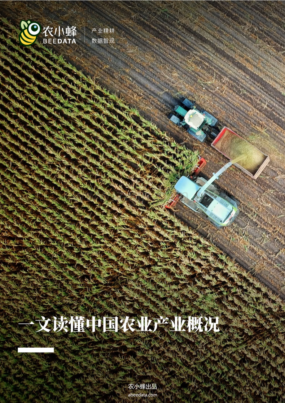 一文读懂中国农业产业概况.pdf_第1页