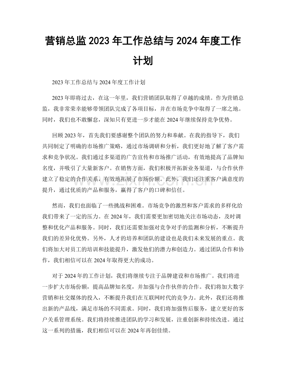 营销总监2023年工作总结与2024年度工作计划.docx_第1页