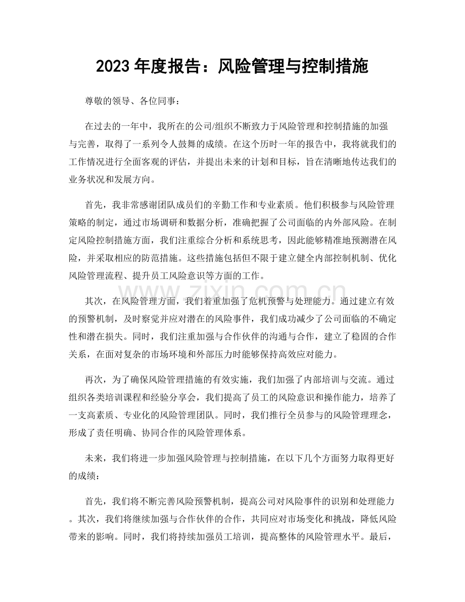 2023年度报告：风险管理与控制措施.docx_第1页