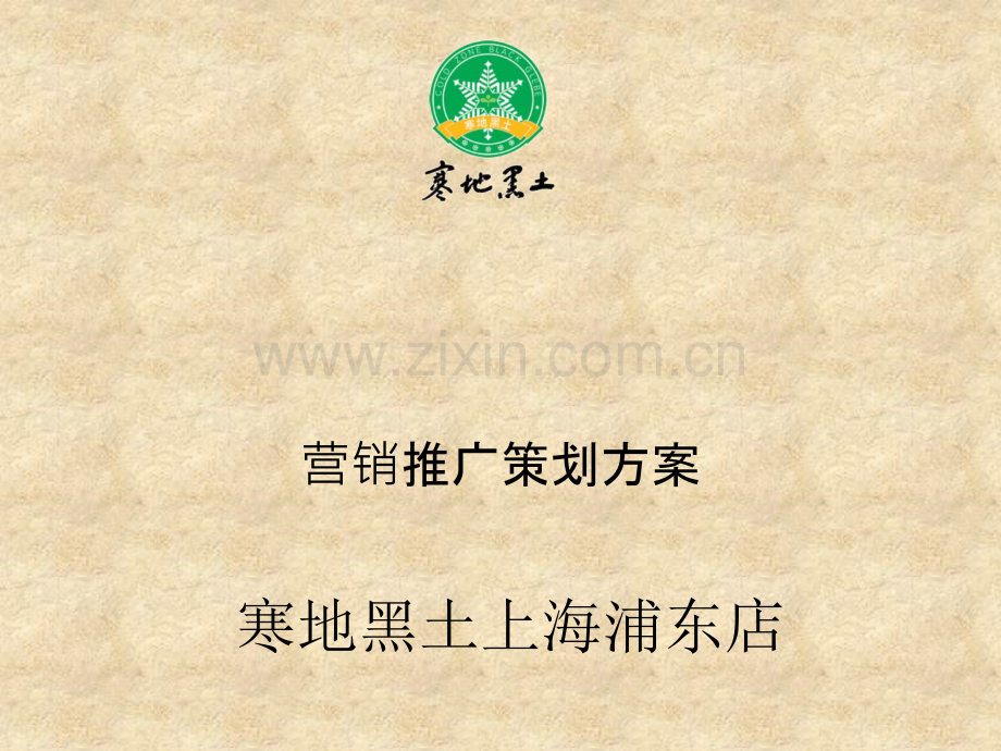 寒地黑土策划案.ppt_第1页