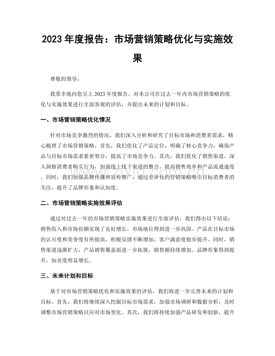 2023年度报告：市场营销策略优化与实施效果.docx_第1页