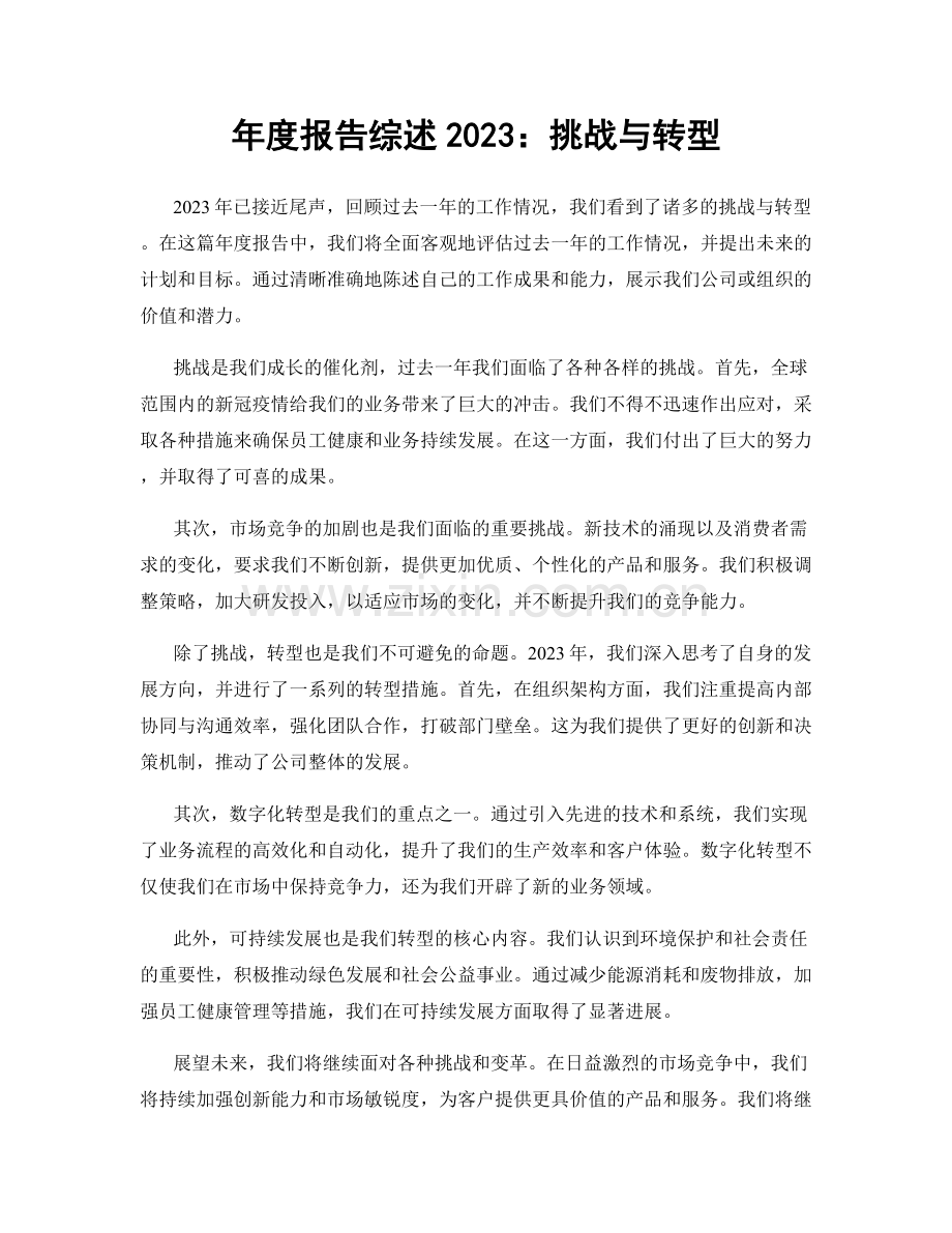 年度报告综述2023：挑战与转型.docx_第1页