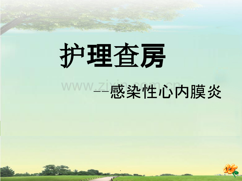 护理查房-感染性心内膜炎.ppt_第1页