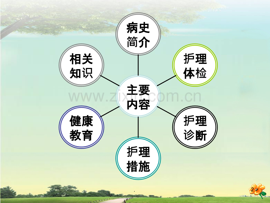 护理查房-感染性心内膜炎.ppt_第2页