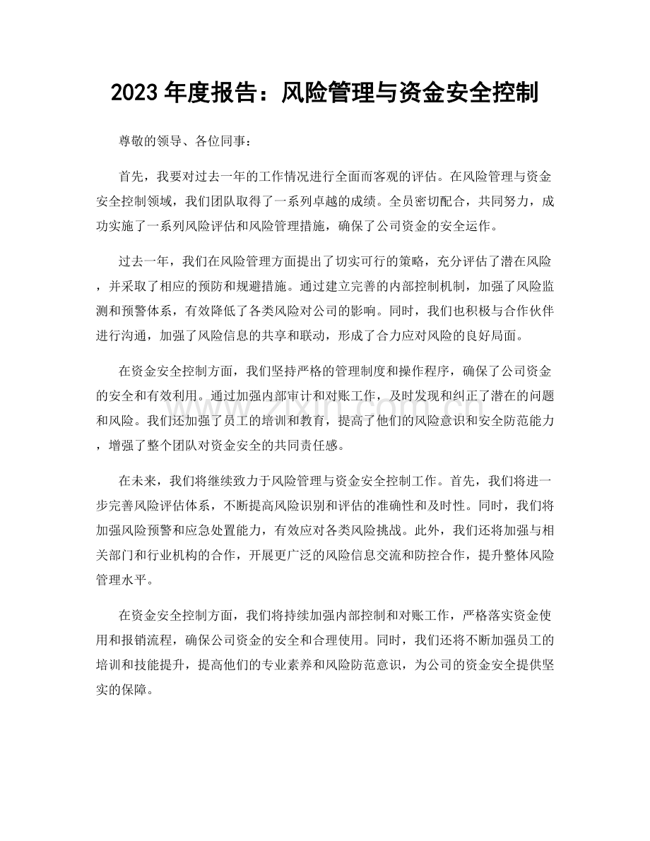 2023年度报告：风险管理与资金安全控制.docx_第1页