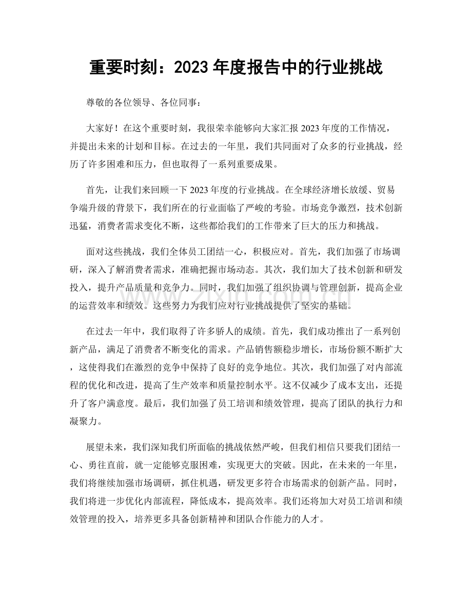 重要时刻：2023年度报告中的行业挑战.docx_第1页