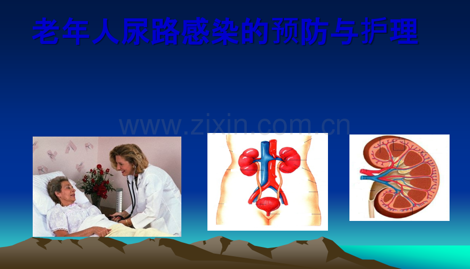 护理-老年人尿路感染护理.ppt_第1页