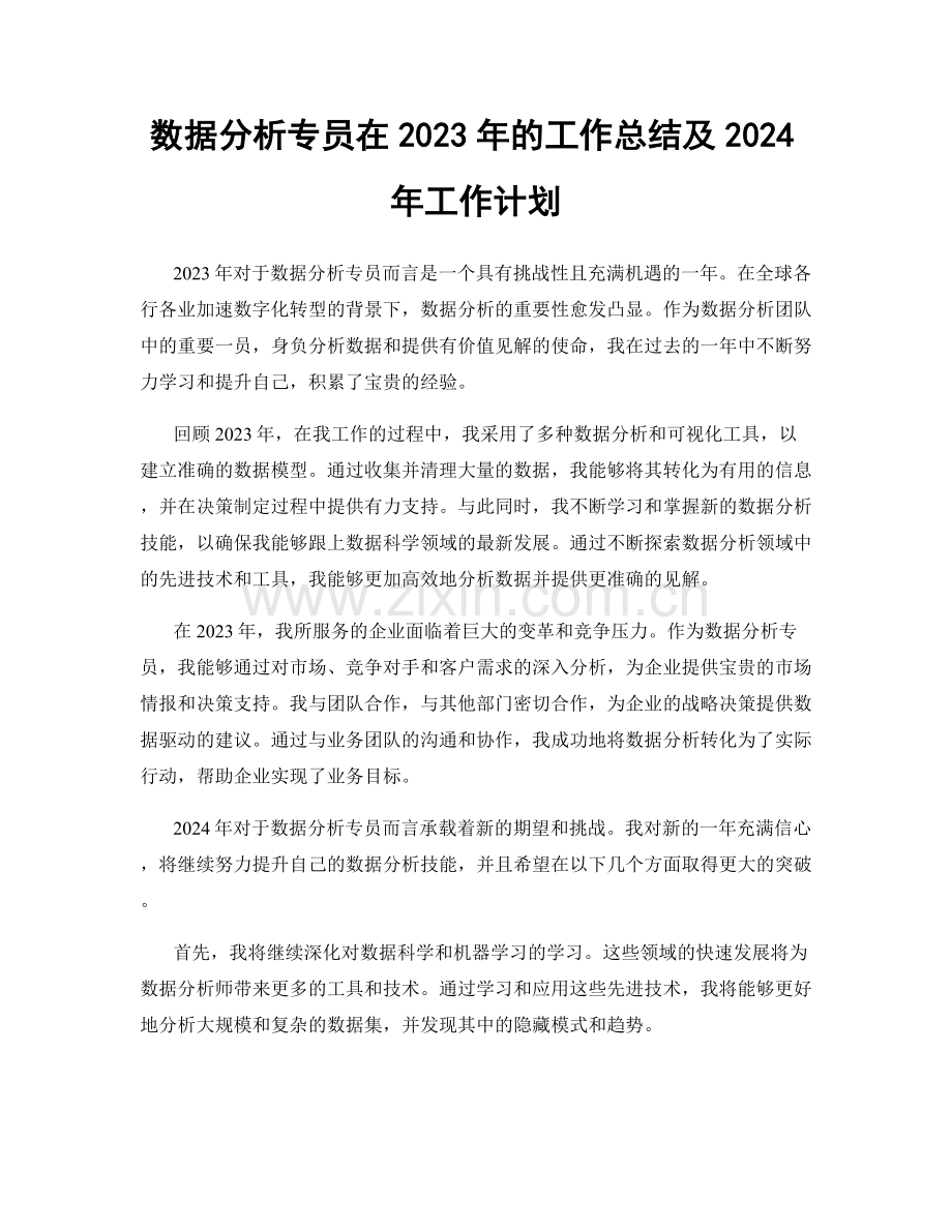 数据分析专员在2023年的工作总结及2024年工作计划.docx_第1页