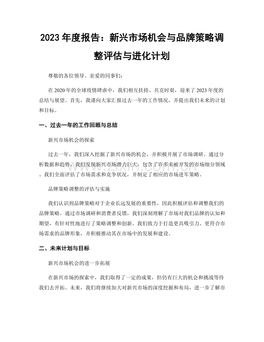 2023年度报告：新兴市场机会与品牌策略调整评估与进化计划.docx_第1页
