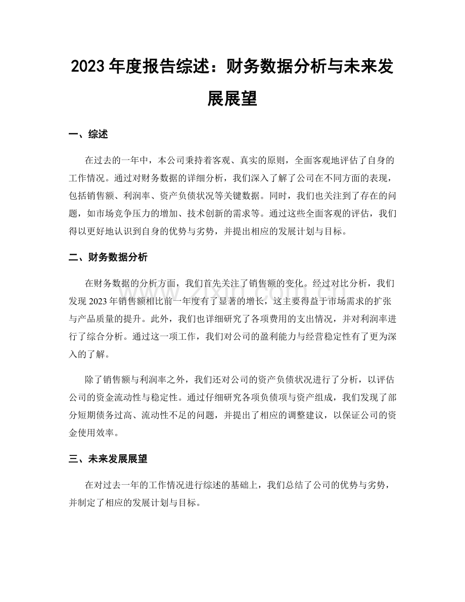 2023年度报告综述：财务数据分析与未来发展展望.docx_第1页