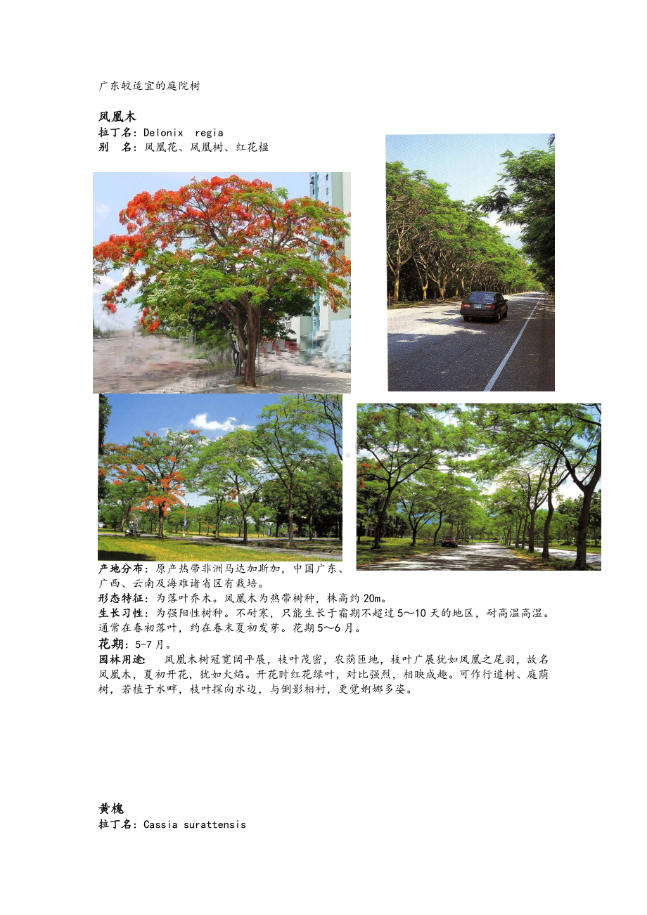 广东较适宜的景观、庭院树木.doc_第1页